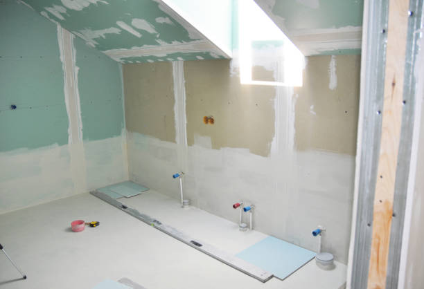 Best Black Mold Removal  in Camden, OH