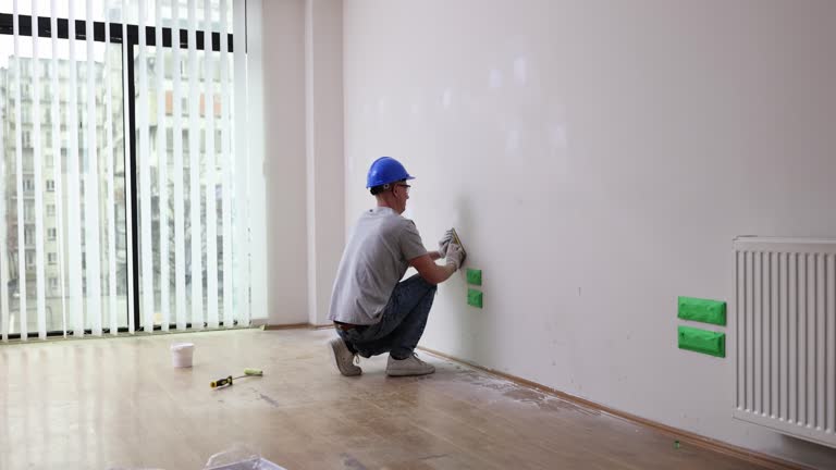 Best Basement Mold Removal  in Camden, OH